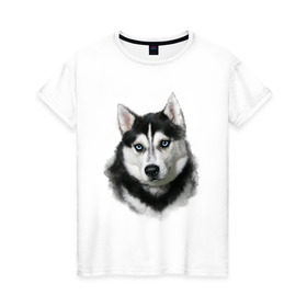 Женская футболка хлопок с принтом Хаски в Петрозаводске, 100% хлопок | прямой крой, круглый вырез горловины, длина до линии бедер, слегка спущенное плечо | animals | dog | mountain | животные | прикольные картинки | собака | хаски
