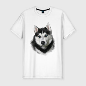 Мужская футболка премиум с принтом Хаски в Петрозаводске, 92% хлопок, 8% лайкра | приталенный силуэт, круглый вырез ворота, длина до линии бедра, короткий рукав | animals | dog | mountain | животные | прикольные картинки | собака | хаски