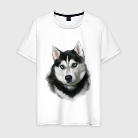 Мужская футболка хлопок с принтом Хаски в Петрозаводске, 100% хлопок | прямой крой, круглый вырез горловины, длина до линии бедер, слегка спущенное плечо. | animals | dog | mountain | животные | прикольные картинки | собака | хаски