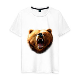 Мужская футболка хлопок с принтом Медведь в Петрозаводске, 100% хлопок | прямой крой, круглый вырез горловины, длина до линии бедер, слегка спущенное плечо. | animals | bear | mountain | животные | медведь | прикольные картинки