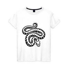 Женская футболка хлопок с принтом Силуэт змеи в Петрозаводске, 100% хлопок | прямой крой, круглый вырез горловины, длина до линии бедер, слегка спущенное плечо | животные | змеиная кожа | змея | прикольные картинки | силуэт змеи