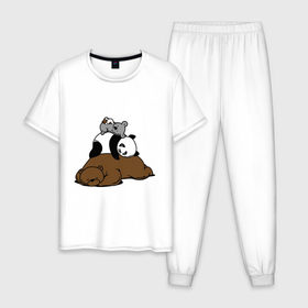 Мужская пижама хлопок с принтом comfort bed - комфортный медведь в Петрозаводске, 100% хлопок | брюки и футболка прямого кроя, без карманов, на брюках мягкая резинка на поясе и по низу штанин
 | панда
