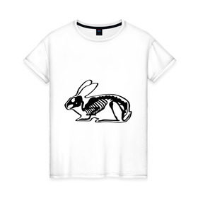 Женская футболка хлопок с принтом Рентген зайца в Петрозаводске, 100% хлопок | прямой крой, круглый вырез горловины, длина до линии бедер, слегка спущенное плечо | скелет