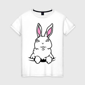 Женская футболка хлопок с принтом Зайчик в кармашке в Петрозаводске, 100% хлопок | прямой крой, круглый вырез горловины, длина до линии бедер, слегка спущенное плечо | белый кролик | животные | зайка | зайчик в кармашке | кролик