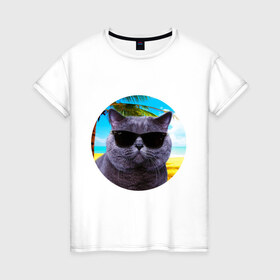 Женская футболка хлопок с принтом Котэ на пляже в Петрозаводске, 100% хлопок | прямой крой, круглый вырез горловины, длина до линии бедер, слегка спущенное плечо | кот | котэ | лето | мем | очки | пальма | пляж | солнце