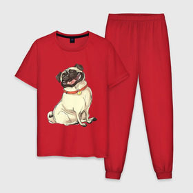 Мужская пижама хлопок с принтом Радостный мопс в Петрозаводске, 100% хлопок | брюки и футболка прямого кроя, без карманов, на брюках мягкая резинка на поясе и по низу штанин
 | милый | мопс | пес | радостная | собака