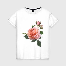 Женская футболка хлопок с принтом Розовая роза в Петрозаводске, 100% хлопок | прямой крой, круглый вырез горловины, длина до линии бедер, слегка спущенное плечо | девушкам | розовая роза | цветок