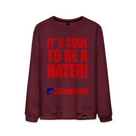 Мужской свитшот хлопок с принтом It`s cool to be a hater в Петрозаводске, 100% хлопок |  | limp bizkit | лимп бизкит | рок | рэп | уэс борланд | фред дерст