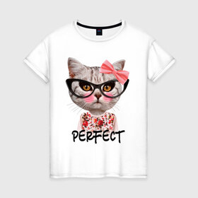 Женская футболка хлопок с принтом Perfect в Петрозаводске, 100% хлопок | прямой крой, круглый вырез горловины, длина до линии бедер, слегка спущенное плечо | perfect | бантик | животное | киса | кот | очки