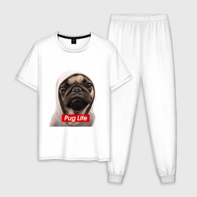 Мужская пижама хлопок с принтом Pug life в Петрозаводске, 100% хлопок | брюки и футболка прямого кроя, без карманов, на брюках мягкая резинка на поясе и по низу штанин
 | pug life | жизнь | капюшон | мопс | собака