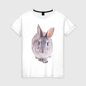 Женская футболка хлопок с принтом Кролик в Петрозаводске, 100% хлопок | прямой крой, круглый вырез горловины, длина до линии бедер, слегка спущенное плечо | заяц | кролик | крольчёнок | крольчишка