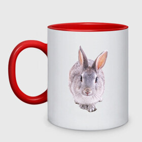 Кружка двухцветная с принтом Кролик в Петрозаводске, керамика | объем — 330 мл, диаметр — 80 мм. Цветная ручка и кайма сверху, в некоторых цветах — вся внутренняя часть | заяц | кролик | крольчёнок | крольчишка