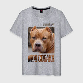 Мужская футболка хлопок с принтом Американский булли в Петрозаводске, 100% хлопок | прямой крой, круглый вырез горловины, длина до линии бедер, слегка спущенное плечо. | drug | американский булли | порода | собака