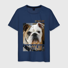 Мужская футболка хлопок с принтом Английский бульдог в Петрозаводске, 100% хлопок | прямой крой, круглый вырез горловины, длина до линии бедер, слегка спущенное плечо. | drug | английский бульдог | порода | собака