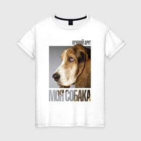 Женская футболка хлопок с принтом Бассет-хаунд в Петрозаводске, 100% хлопок | прямой крой, круглый вырез горловины, длина до линии бедер, слегка спущенное плечо | drug | бассет хаунд | порода | собака