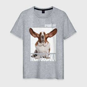 Мужская футболка хлопок с принтом Бассет-хаунд в Петрозаводске, 100% хлопок | прямой крой, круглый вырез горловины, длина до линии бедер, слегка спущенное плечо. | drug | бассет хаунд | порода | собака