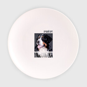 Тарелка с принтом Бернский зенненхунд в Петрозаводске, фарфор | диаметр - 210 мм
диаметр для нанесения принта - 120 мм | drug | бернский зенненхунд | порода | собака