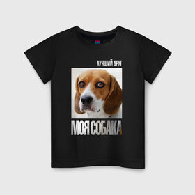 Детская футболка хлопок с принтом Бигль в Петрозаводске, 100% хлопок | круглый вырез горловины, полуприлегающий силуэт, длина до линии бедер | drug | бигль | порода | собака