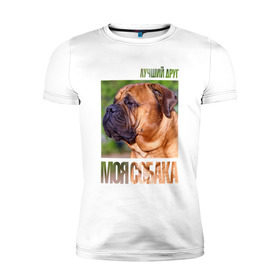 Мужская футболка премиум с принтом Бульмастиф в Петрозаводске, 92% хлопок, 8% лайкра | приталенный силуэт, круглый вырез ворота, длина до линии бедра, короткий рукав | drug | бульмастиф | порода | собака