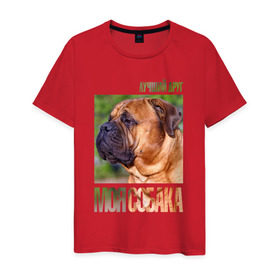 Мужская футболка хлопок с принтом Бульмастиф в Петрозаводске, 100% хлопок | прямой крой, круглый вырез горловины, длина до линии бедер, слегка спущенное плечо. | drug | бульмастиф | порода | собака