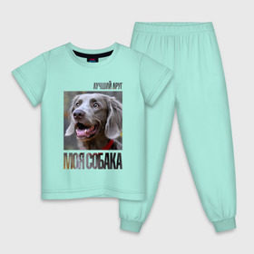 Детская пижама хлопок с принтом Веймаранер в Петрозаводске, 100% хлопок |  брюки и футболка прямого кроя, без карманов, на брюках мягкая резинка на поясе и по низу штанин
 | drug | веймаранер | порода | собака