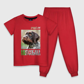 Детская пижама хлопок с принтом Дратхаар, лучший, друг, собака в Петрозаводске, 100% хлопок |  брюки и футболка прямого кроя, без карманов, на брюках мягкая резинка на поясе и по низу штанин
 | Тематика изображения на принте: drug | дратхаар | порода | собака