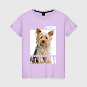 Женская футболка хлопок с принтом Йоркширский терьер в Петрозаводске, 100% хлопок | прямой крой, круглый вырез горловины, длина до линии бедер, слегка спущенное плечо | drug | порода | собака
