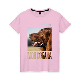 Женская футболка хлопок с принтом Ирландский сеттер в Петрозаводске, 100% хлопок | прямой крой, круглый вырез горловины, длина до линии бедер, слегка спущенное плечо | drug | ирландский сеттер | порода | собака