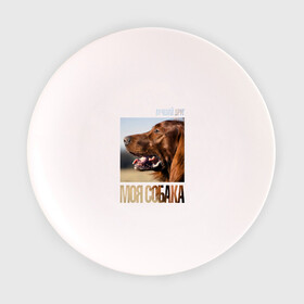 Тарелка с принтом Ирландский сеттер в Петрозаводске, фарфор | диаметр - 210 мм
диаметр для нанесения принта - 120 мм | Тематика изображения на принте: drug | ирландский сеттер | порода | собака