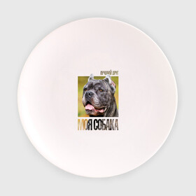 Тарелка с принтом Канне корсо в Петрозаводске, фарфор | диаметр - 210 мм
диаметр для нанесения принта - 120 мм | drug | канне корсо | порода | собака