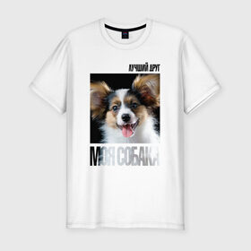 Мужская футболка премиум с принтом Папийон в Петрозаводске, 92% хлопок, 8% лайкра | приталенный силуэт, круглый вырез ворота, длина до линии бедра, короткий рукав | drug | папийон | порода | собака