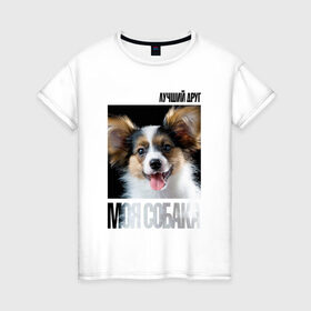 Женская футболка хлопок с принтом Папийон в Петрозаводске, 100% хлопок | прямой крой, круглый вырез горловины, длина до линии бедер, слегка спущенное плечо | drug | папийон | порода | собака