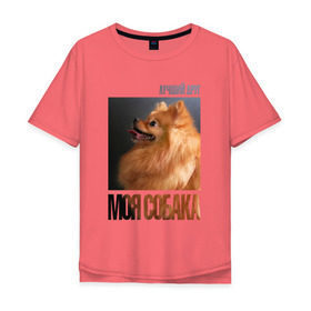 Мужская футболка хлопок Oversize с принтом Померанский шпиц в Петрозаводске, 100% хлопок | свободный крой, круглый ворот, “спинка” длиннее передней части | drug | померанский шпиц | порода | собака