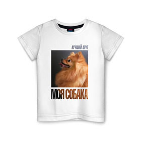 Детская футболка хлопок с принтом Померанский шпиц в Петрозаводске, 100% хлопок | круглый вырез горловины, полуприлегающий силуэт, длина до линии бедер | drug | померанский шпиц | порода | собака