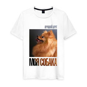 Мужская футболка хлопок с принтом Померанский шпиц в Петрозаводске, 100% хлопок | прямой крой, круглый вырез горловины, длина до линии бедер, слегка спущенное плечо. | drug | померанский шпиц | порода | собака