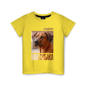 Детская футболка хлопок с принтом Родезийский риджбек в Петрозаводске, 100% хлопок | круглый вырез горловины, полуприлегающий силуэт, длина до линии бедер | drug | порода | родезийский риджбек | собака