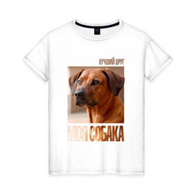 Женская футболка хлопок с принтом Родезийский риджбек в Петрозаводске, 100% хлопок | прямой крой, круглый вырез горловины, длина до линии бедер, слегка спущенное плечо | drug | порода | родезийский риджбек | собака