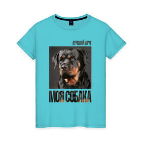 Женская футболка хлопок с принтом Ротвейлер в Петрозаводске, 100% хлопок | прямой крой, круглый вырез горловины, длина до линии бедер, слегка спущенное плечо | drug | порода | собака