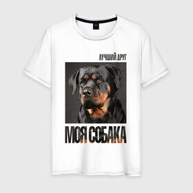 Мужская футболка хлопок с принтом Ротвейлер в Петрозаводске, 100% хлопок | прямой крой, круглый вырез горловины, длина до линии бедер, слегка спущенное плечо. | Тематика изображения на принте: drug | порода | собака