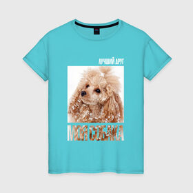 Женская футболка хлопок с принтом Той-пудель в Петрозаводске, 100% хлопок | прямой крой, круглый вырез горловины, длина до линии бедер, слегка спущенное плечо | drug | порода | пудель | собака