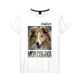Женская футболка хлопок с принтом Шелти в Петрозаводске, 100% хлопок | прямой крой, круглый вырез горловины, длина до линии бедер, слегка спущенное плечо | drug | порода | собака | шелти
