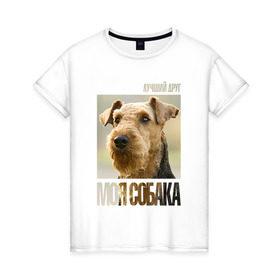 Женская футболка хлопок с принтом Эрдельтерьер в Петрозаводске, 100% хлопок | прямой крой, круглый вырез горловины, длина до линии бедер, слегка спущенное плечо | drug | порода | собака | эрдельтерьер