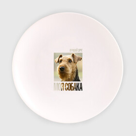 Тарелка с принтом Эрдельтерьер в Петрозаводске, фарфор | диаметр - 210 мм
диаметр для нанесения принта - 120 мм | drug | порода | собака | эрдельтерьер