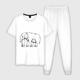 Мужская пижама хлопок с принтом Сколько ног у слона в Петрозаводске, 100% хлопок | брюки и футболка прямого кроя, без карманов, на брюках мягкая резинка на поясе и по низу штанин
 | Тематика изображения на принте: слон
