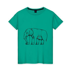 Женская футболка хлопок с принтом Сколько ног у слона в Петрозаводске, 100% хлопок | прямой крой, круглый вырез горловины, длина до линии бедер, слегка спущенное плечо | слон