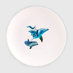 Тарелка 3D с принтом Дельфины в Петрозаводске, фарфор | диаметр - 210 мм
диаметр для нанесения принта - 120 мм | die antwoord