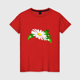 Женская футболка хлопок с принтом Ромашка в Петрозаводске, 100% хлопок | прямой крой, круглый вырез горловины, длина до линии бедер, слегка спущенное плечо | 