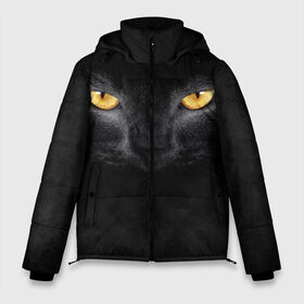 Мужская зимняя куртка 3D с принтом Черная кошка в Петрозаводске, верх — 100% полиэстер; подкладка — 100% полиэстер; утеплитель — 100% полиэстер | длина ниже бедра, свободный силуэт Оверсайз. Есть воротник-стойка, отстегивающийся капюшон и ветрозащитная планка. 

Боковые карманы с листочкой на кнопках и внутренний карман на молнии. | глаза | киса | кот | котик | кошка | черная кошка
