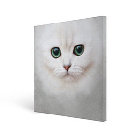 Холст квадратный с принтом Белый котик в Петрозаводске, 100% ПВХ |  | белая кошка | киса | кот | котик | кошка