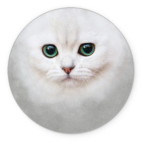 Коврик круглый с принтом Белый котик в Петрозаводске, резина и полиэстер | круглая форма, изображение наносится на всю лицевую часть | белая кошка | киса | кот | котик | кошка